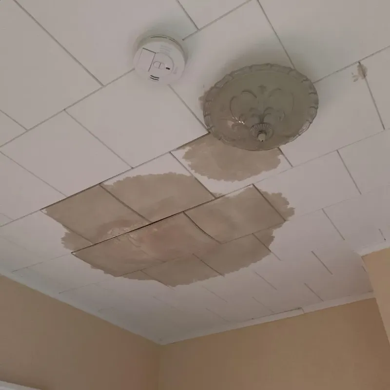 Ceiling Water Damage Repair in Rolling Fork, MS