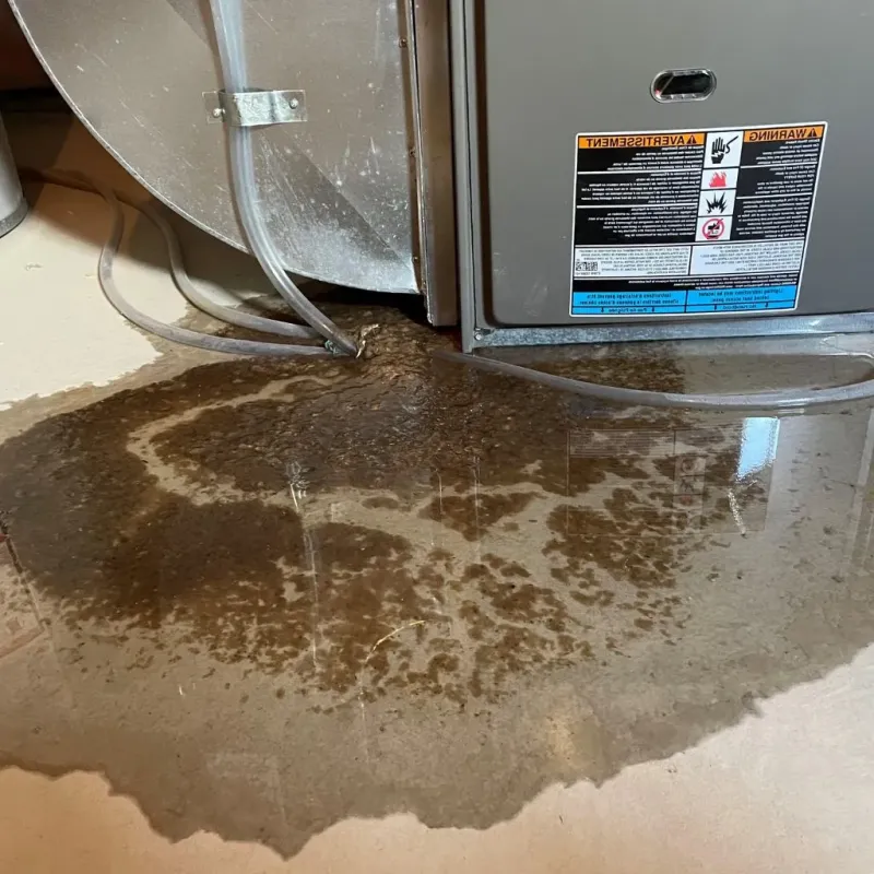 Pipe Burst and Leak Restoration in Rolling Fork, MS