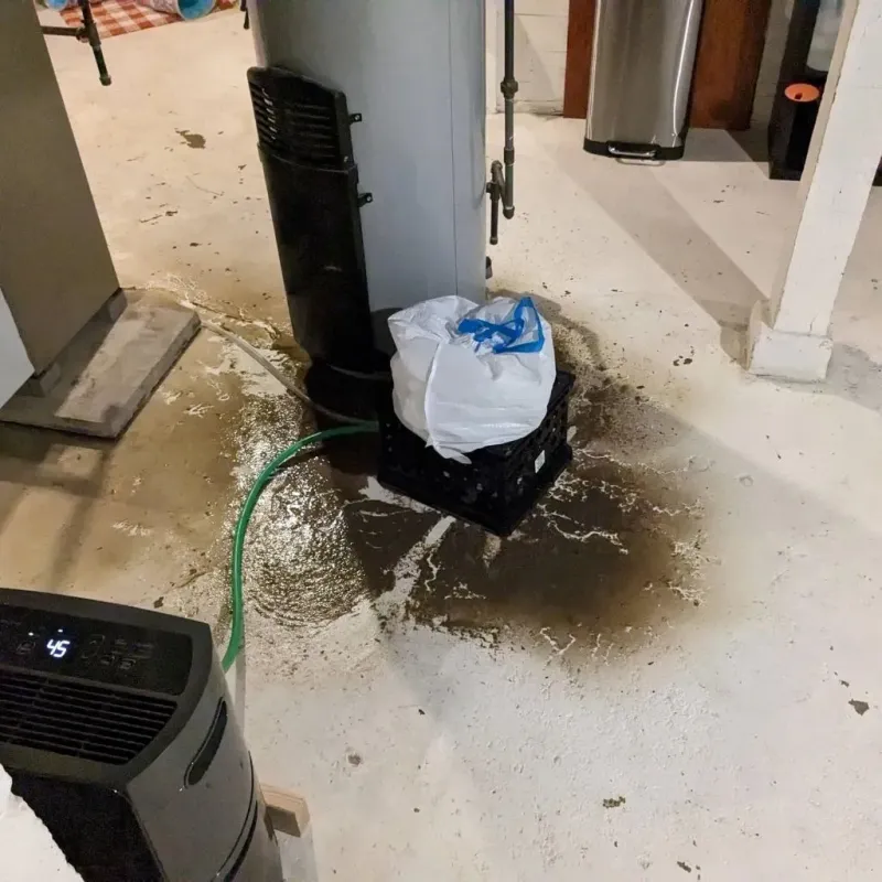 Sewage Backup Cleanup Service in Rolling Fork, MS